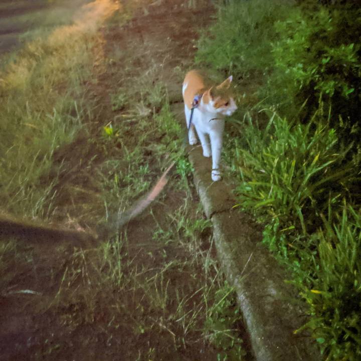 5d91a337 e4d6 4566 aebe 3c6fbc3030e0 1561725514457