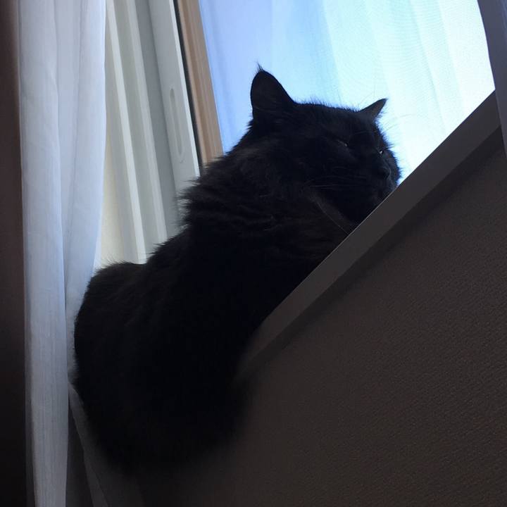 5d91ac2f 48d2 4f7d b59f e9563fd156a1 1550692428499