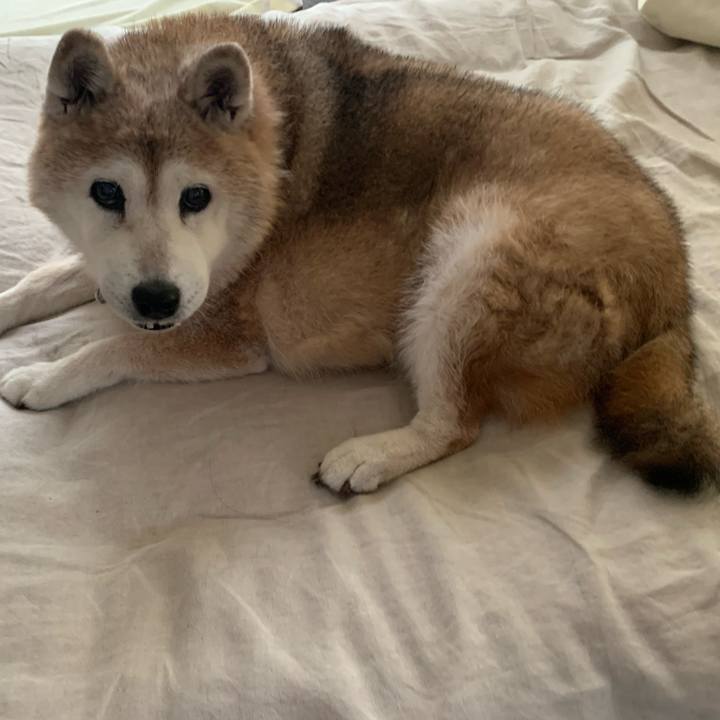 5d91dd32 c20b 41e1 b8c7 1b3e2e9a8267 1657840926111