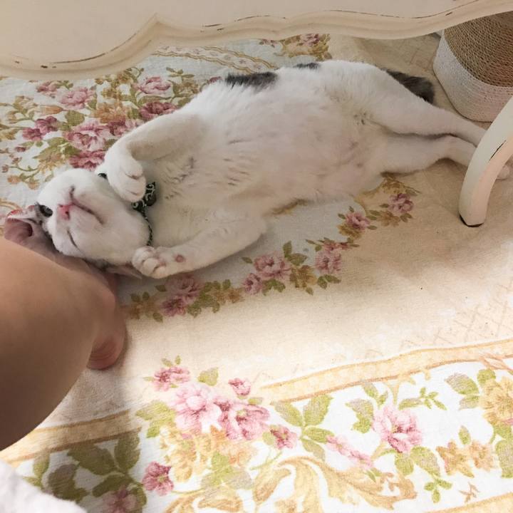 5d9202b3 26e4 4d2e a9bc 711dd9940c99 1529983954006