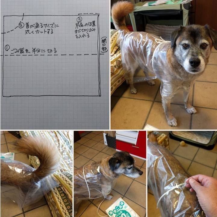 5d92a630 0068 45d2 8efd a051d4211b0d 1602374568394