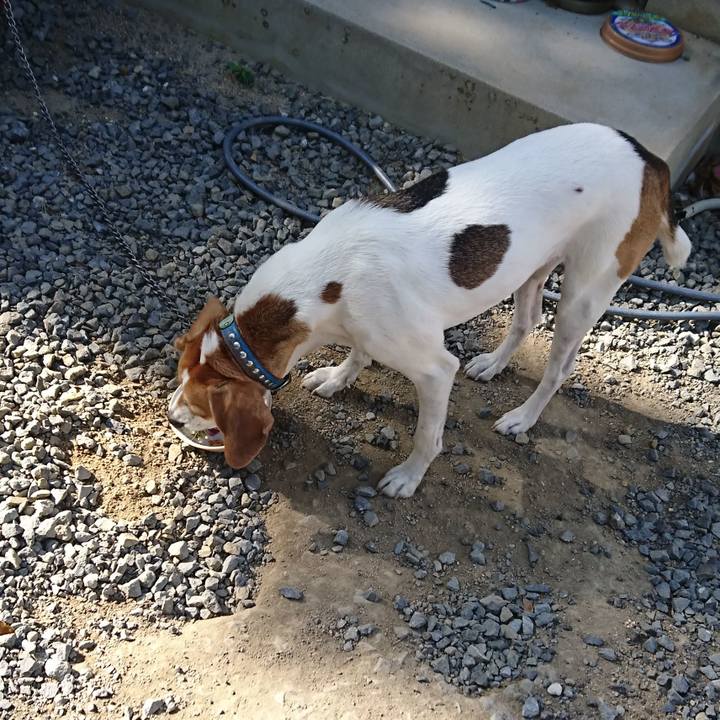 5d92afa2 ea6f 40f4 a4ea 6bd0777b2795 1573187126912