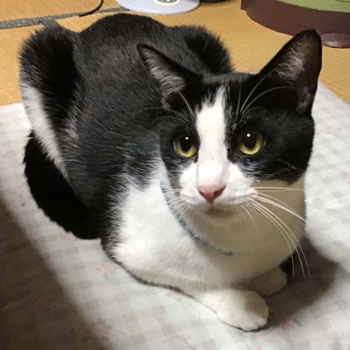 5d92c0b1 4e11 4d47 af61 476dd6741b4f 1663762537862