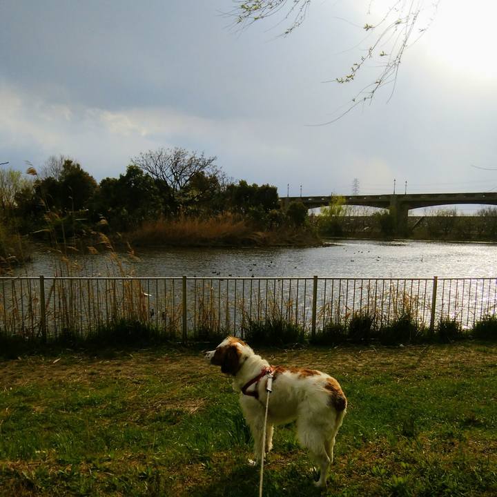 5d92d5ab 6847 446c bed4 4d4729398f01 1554019063432