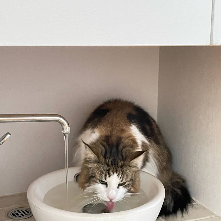 5d92ee6b 6b52 4a3c ba91 0d5e1c8be5e0 1743040653131