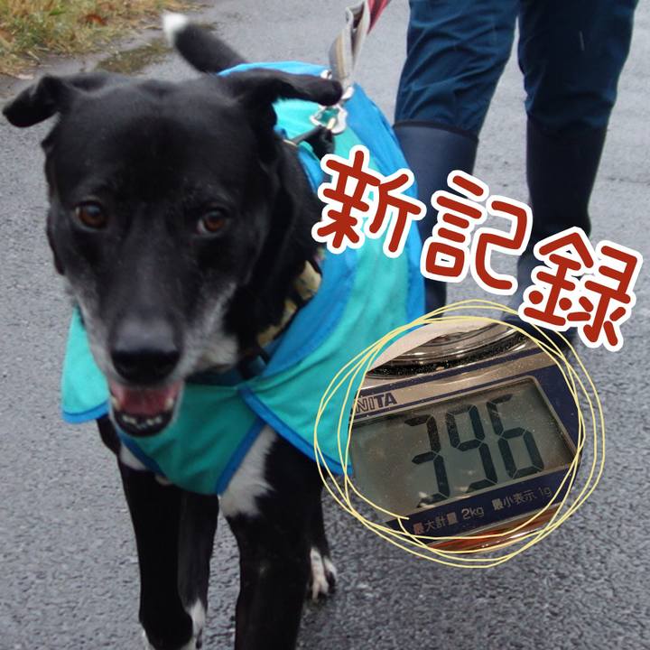 5d932442 98a7 4a80 99e1 859001c80338 1708649373362