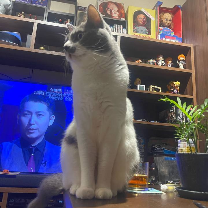 5d932907 b814 4982 85fc 10a2ffbd9558 1722255504539