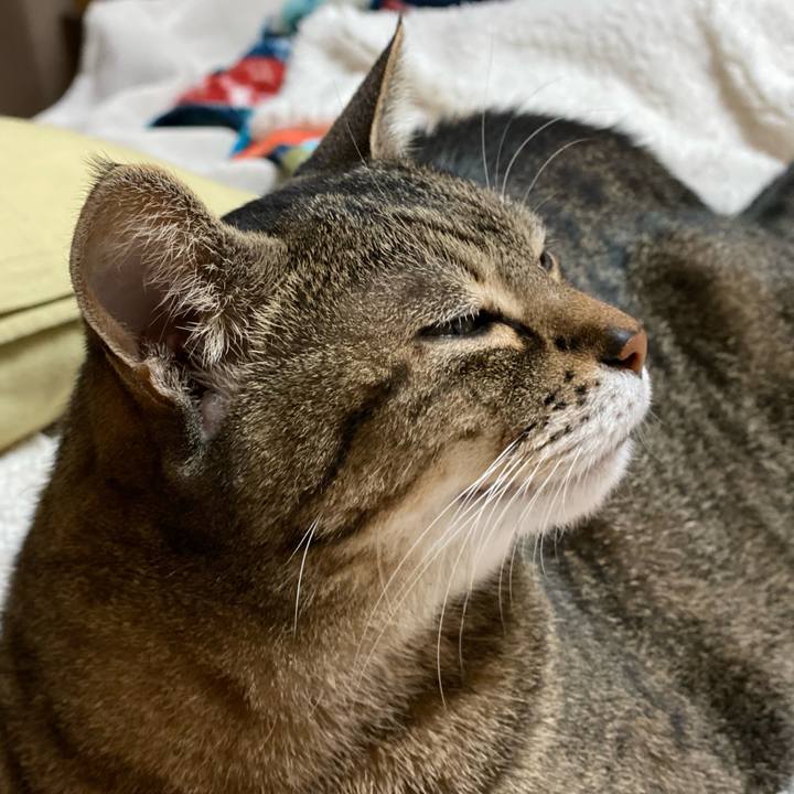 5d9337c7 5318 4d6f b1cd 13b8f2b526b3 1774237793603