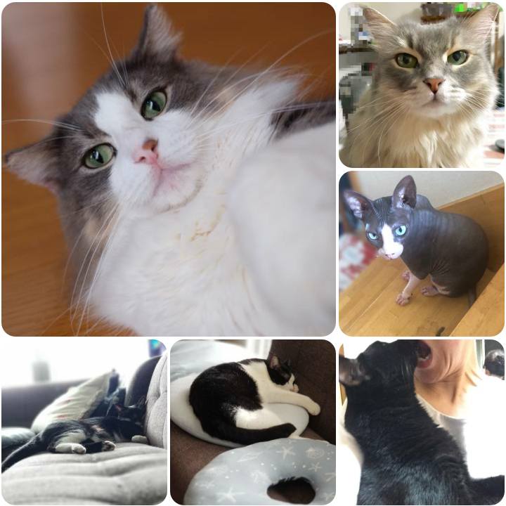 5d933a47 4e83 4d0e bcb2 73108ef97988 1567068489149