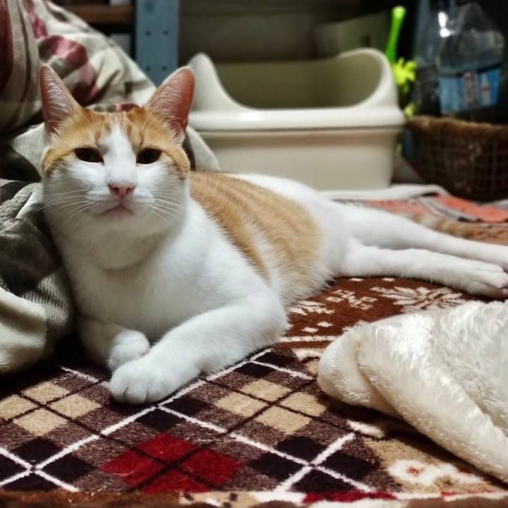 5d93f3d7 38ab 47d0 a8f5 7741e3a5bbae 1540801946431