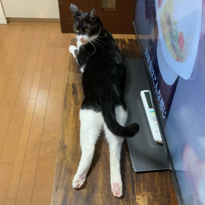 5d9407fa 9c60 463c 99cb 934eba73f475 1620530551800