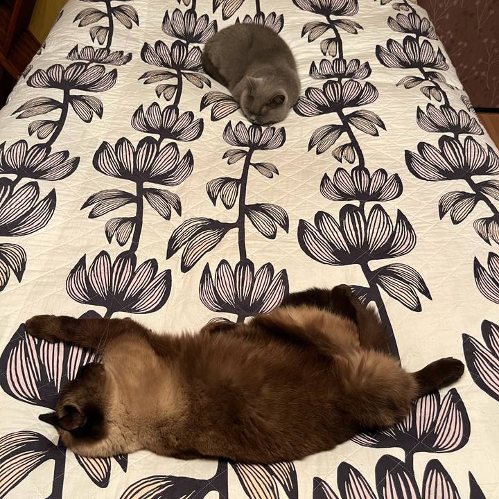 5d944ebd c771 4041 8489 5e35e0bea322 1732706060318