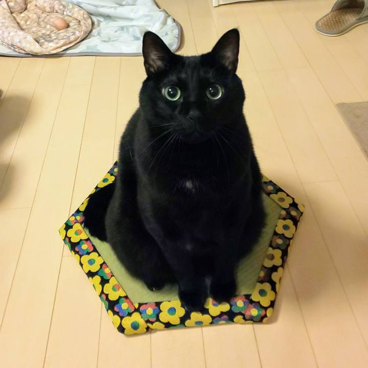 5d9475ae ee3a 480b a3f3 a97949cb4625 1731018125521