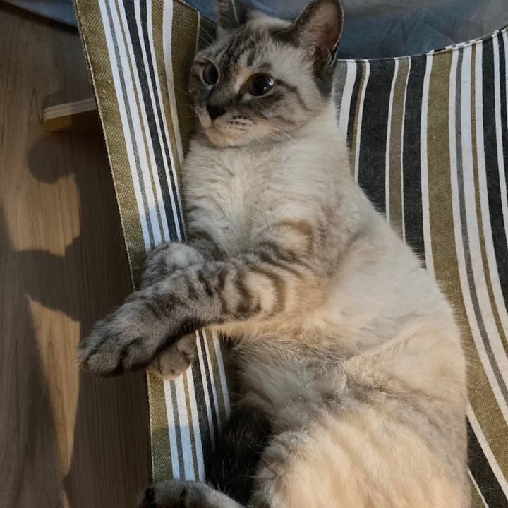 5d949969 ff1b 4bb4 bac0 b3a73a53ccff 1595925589483