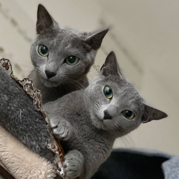 5d94b431 44d6 4165 8451 09694ebebf09 1687500345960