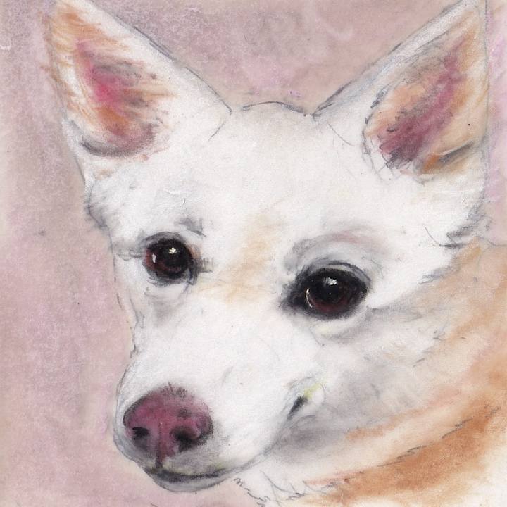 5d94c792 39f7 4184 a8c9 697777c1e2ef 1739192289947