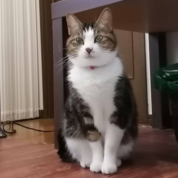 5d94d33c db0a 4560 a86a 036ac0fa22a0 1575710147159