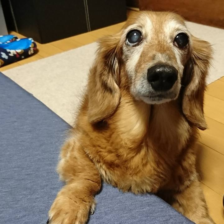 5d95125b 7c9e 4a09 a491 ffdb74e7075c 1511080430301