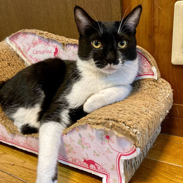 5d95217f 2706 4685 9180 f460d1e94005 1687594902216