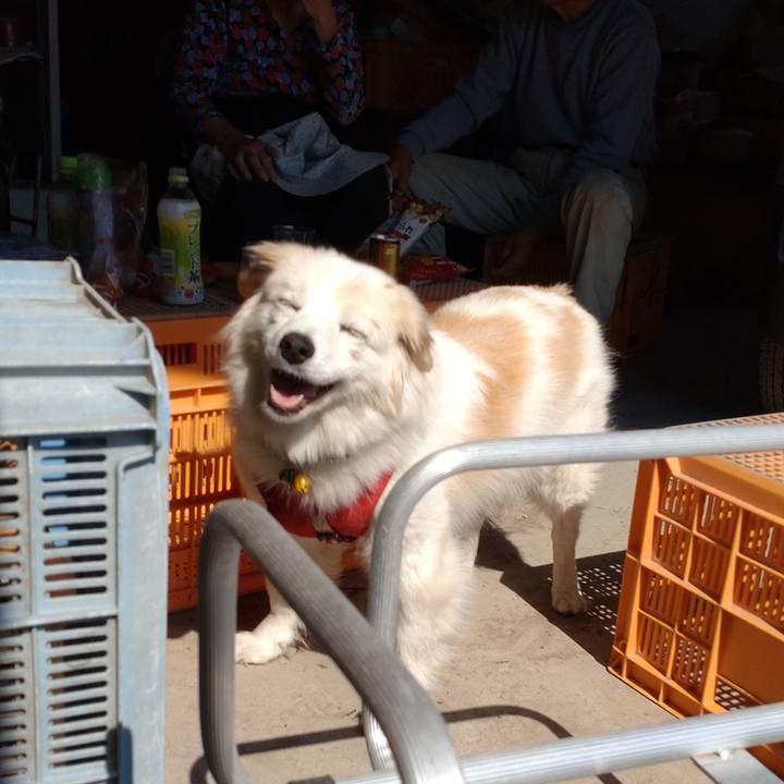 5d953580 640d 49a7 8e1e c92b8d7a3b02 1653200674511