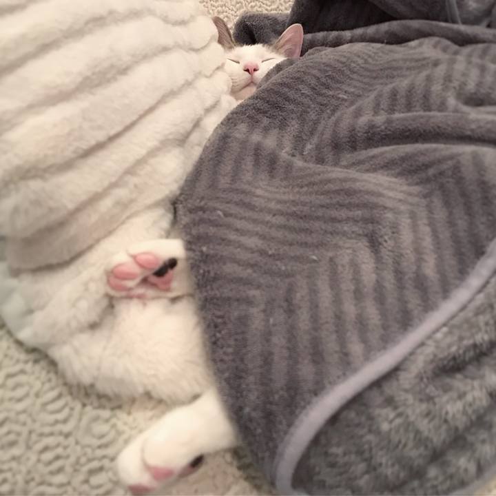 5d95491d 5fb1 40cf 9382 bc3eb1189477 1552384873249