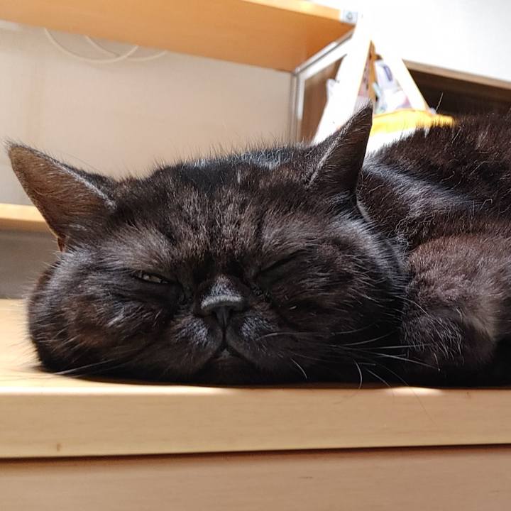 5d9553cd 37e7 41df 8a9c 4038354b08ab 1644068000491