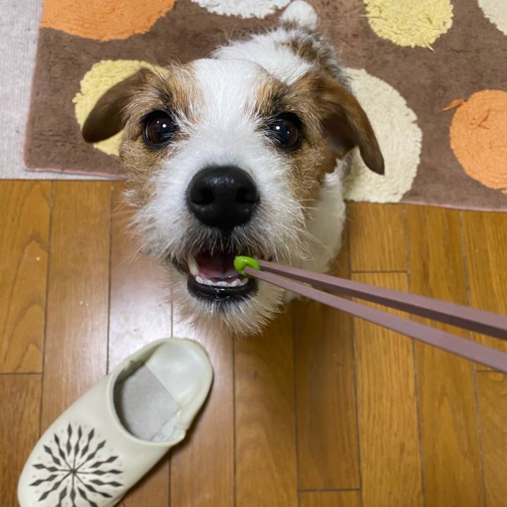 5d955d4b 8b06 4e57 87b8 e3b9aa342ec8 1739278642442