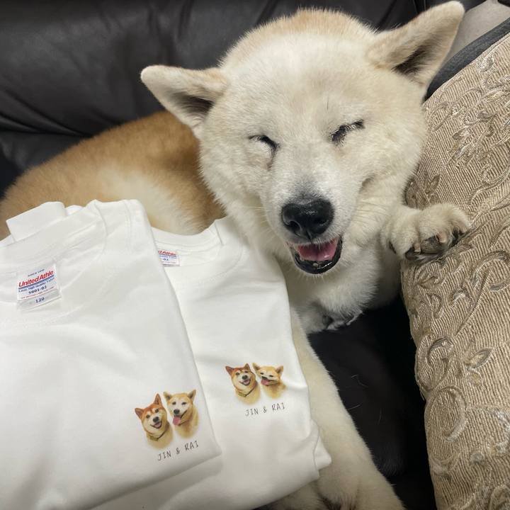 5d9571ad 94eb 4f72 99b0 de91ce00a33e 1724061351914