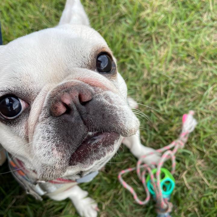 5d9572dd e86d 4795 9d4c db69c917dbdf 1760954018959