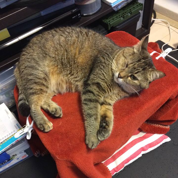 5d95f151 8610 4639 a584 ae72b9ec16f9 1544484920559