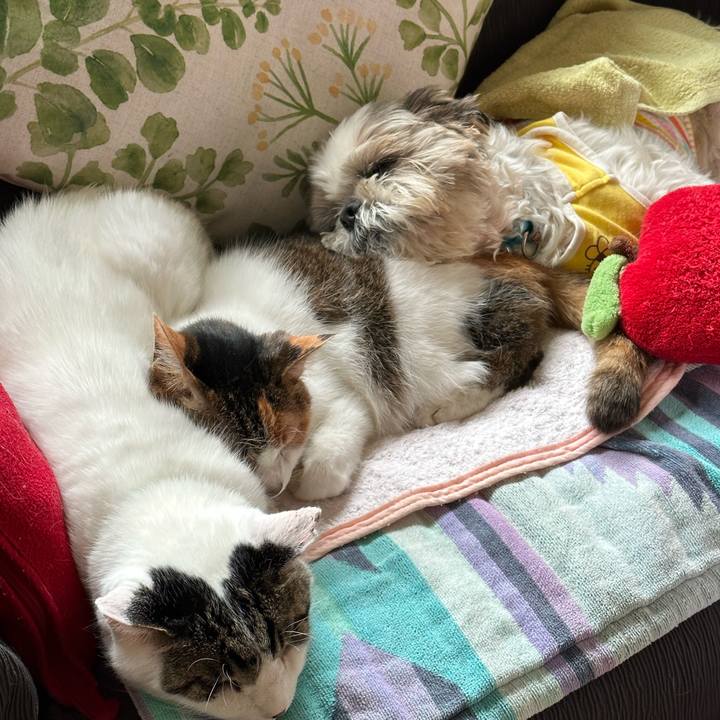 5d95f413 7615 4ef8 8cbe 6d32d999d1d5 1687409960764