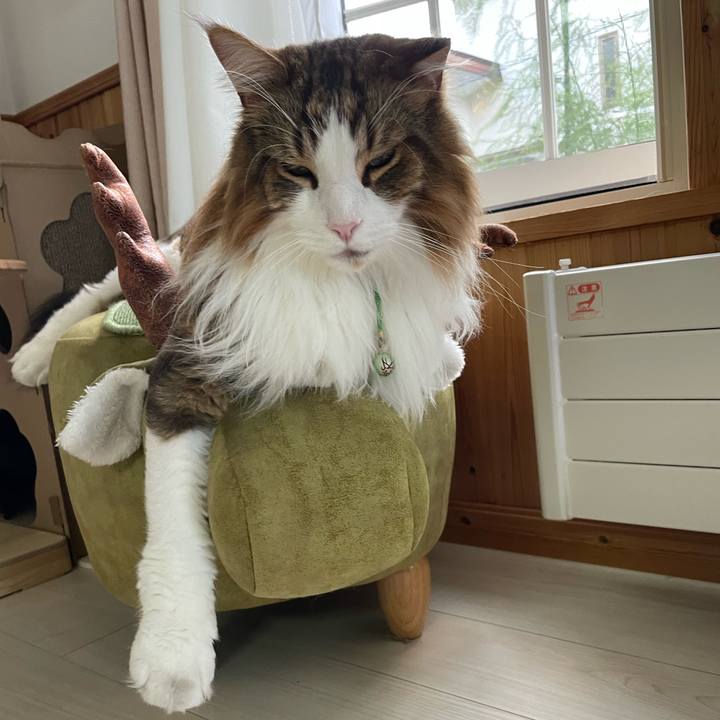 5d96108f 581b 493c af2a a8239b62642f 1754429195462