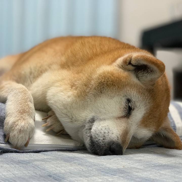 5d9640ad cb57 4017 9de1 420db99eadbb 1560597844193