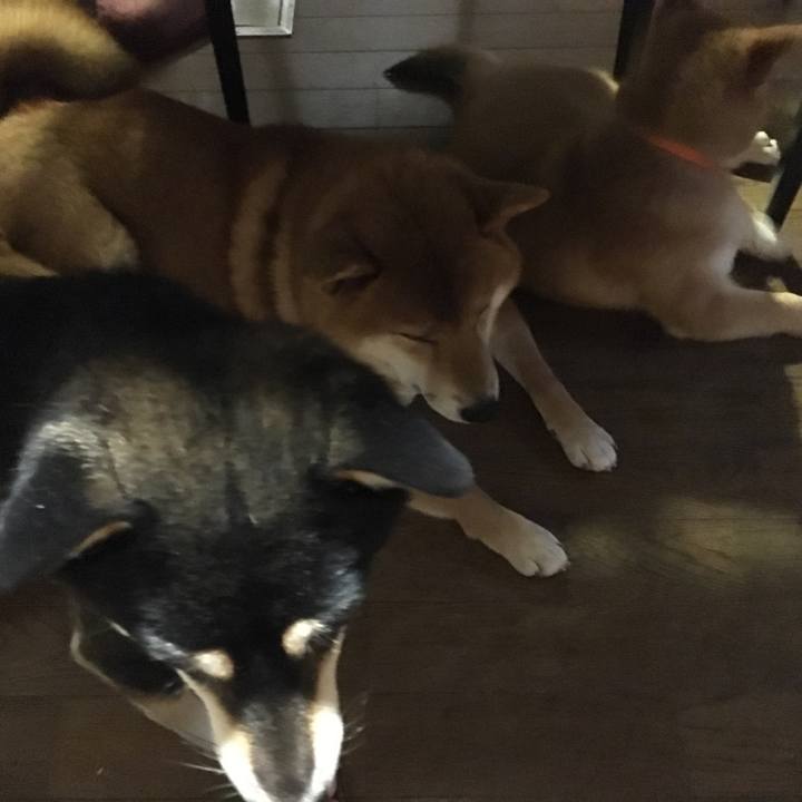 5d965eed 8b65 4681 afca cc3bb2a590cf 1509139621601