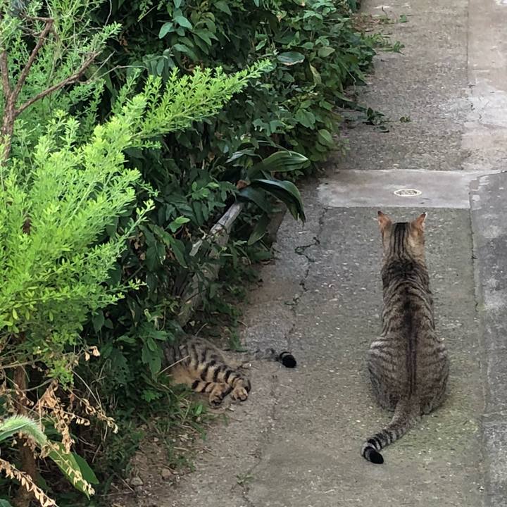 5d9679bf 0e57 4822 9e34 560f3a319df5 1533242259034