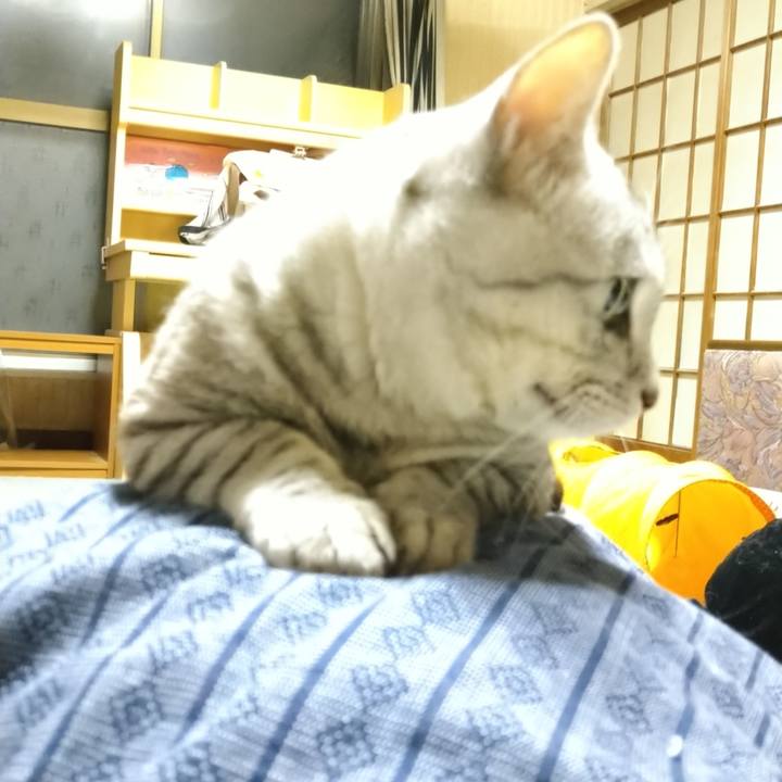 5d96b78e 6ad2 4d7a 9419 835e2535e8d2 1620651854065