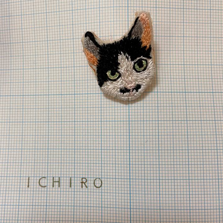 5d96b95f 8c27 470e bd96 3b1d9284f767 1622452204474