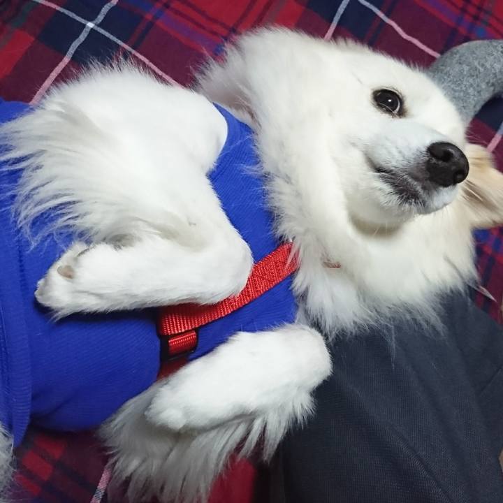 5d96cc95 b268 4322 9ade dce1c817c704 1512130107469