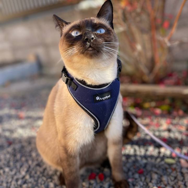 5d96e540 0a62 4536 9c6e 17de14a54f7e 1731227472822