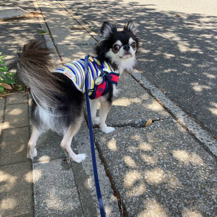 5d96ea94 dc9c 41dc 9c9d dbdf42361e5b 1714926198753