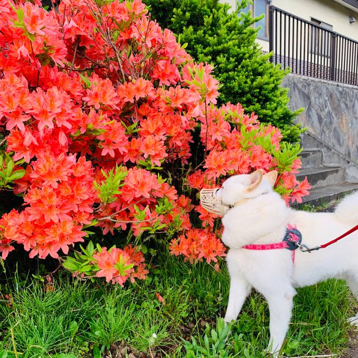 5d97141a 2256 47d7 8f61 a490e295f48a 1591048281238