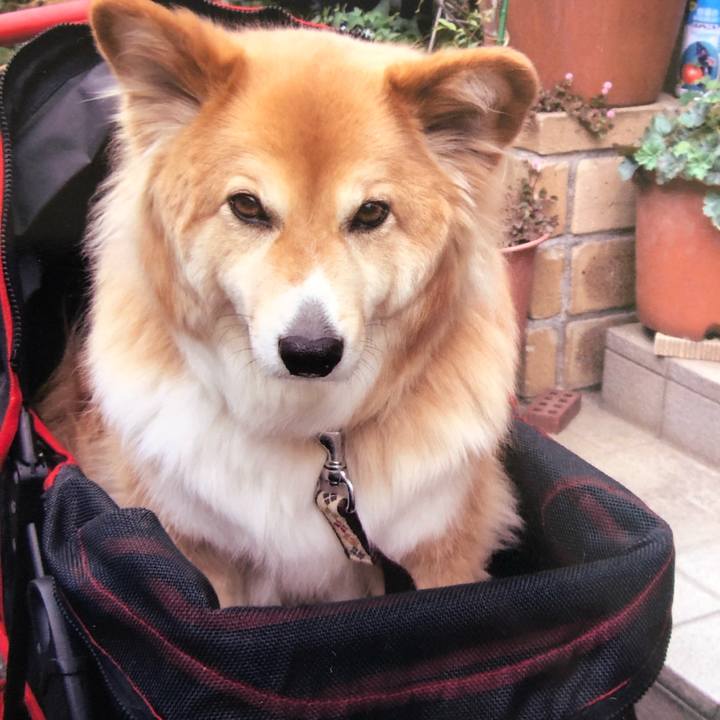 5d97226c 26fd 4fe8 8fbe 63b3db05abcd 1549348850403