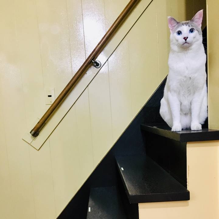 5d9748f2 e17d 451d 8362 d9cab7b97fc7 1555552244301