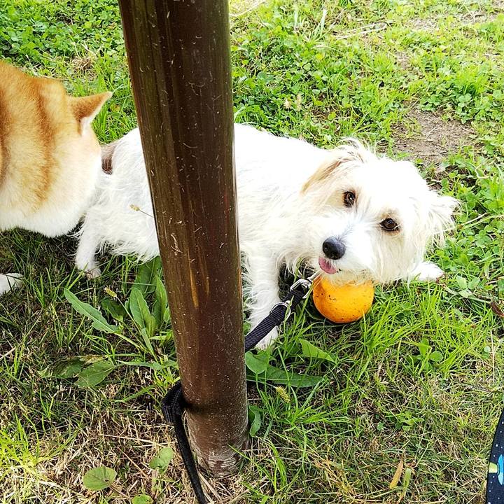 5d974fcf 24b7 453e b78e 1a63cb51bff7 1574568600164