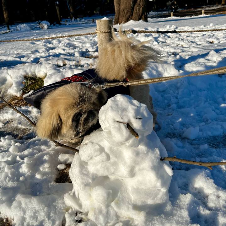 5d97705e d37a 49b9 94f7 a8809af0eb02 1770592924552