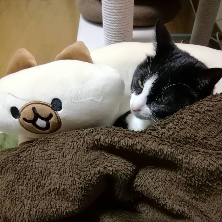 5d977518 5beb 4e24 9a4d ef8888492ae8 1614951897776