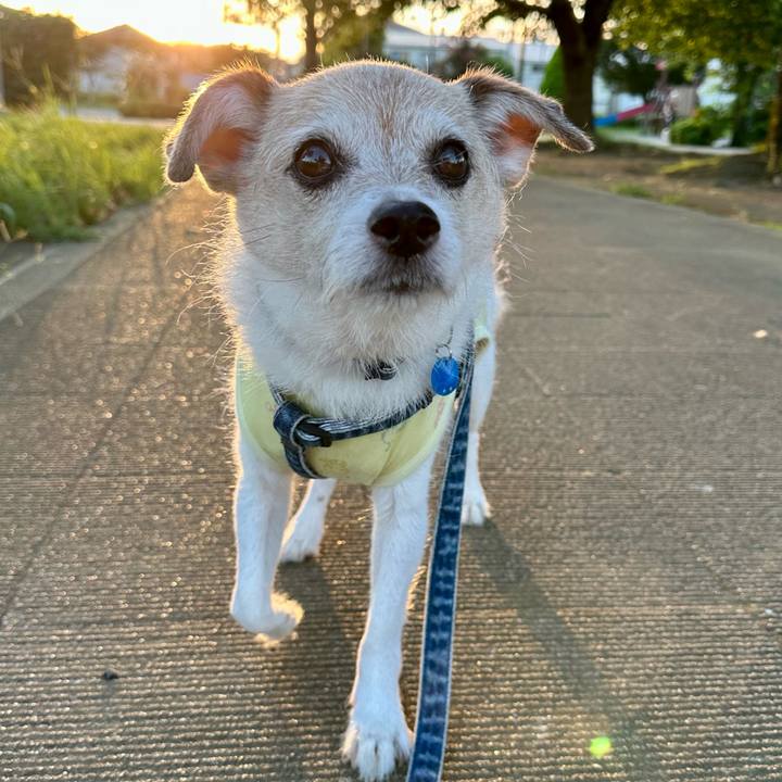 5d97929b f1dc 41b2 9202 d0d00ec4b1ab 1724453706154