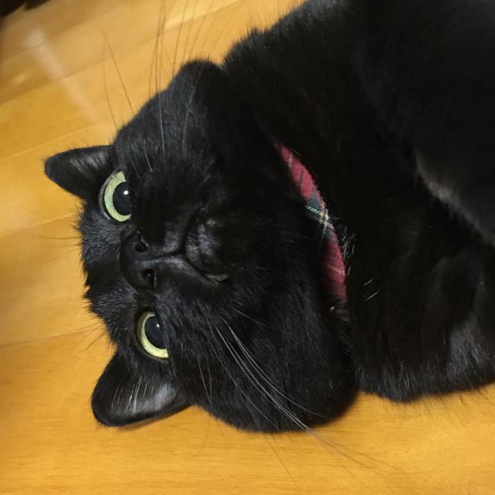 5d97963d bdd9 4804 90a9 c99374e0a735 1537535804903