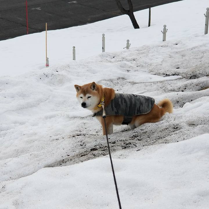 5d97ad9a f58e 4d8d ae5d 62da8f66d269 1678418611545