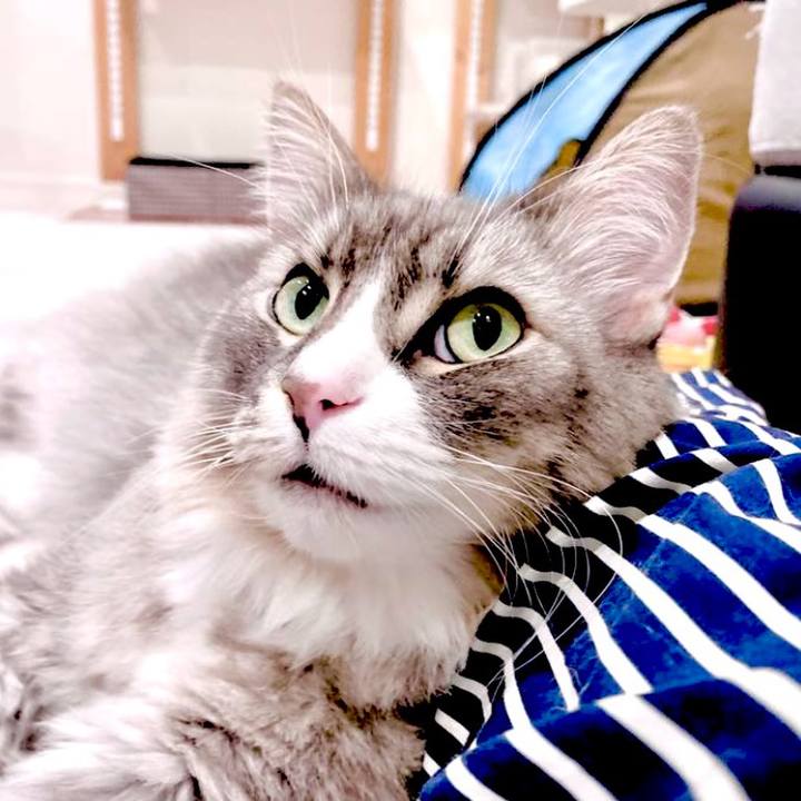 5d97b844 2a21 4c96 a272 4086263e21e5 1753198983598